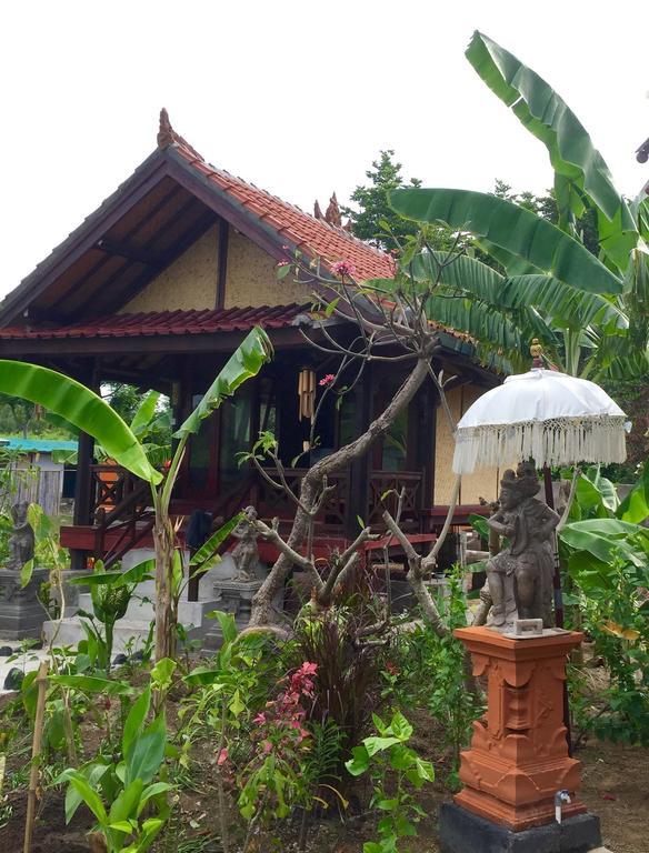 Mahogany Cottage ギリ島 部屋 写真